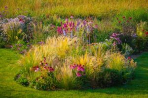 10 หญ้าประดับเพื่อเพิ่มความสวยในสวนของคุณ